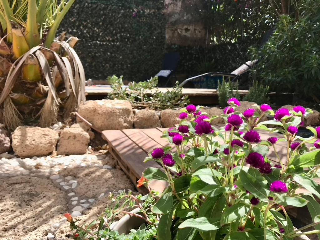 Casa Vivaqi Tenerife Granadilla De Abona Εξωτερικό φωτογραφία